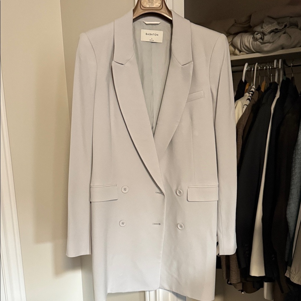 Aritzia Babaton Light Gray Blazer/Blazer Dress